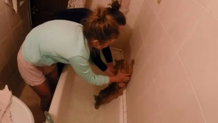 两美女给猫洗澡,猫还嫌弃,换做是我得多幸福